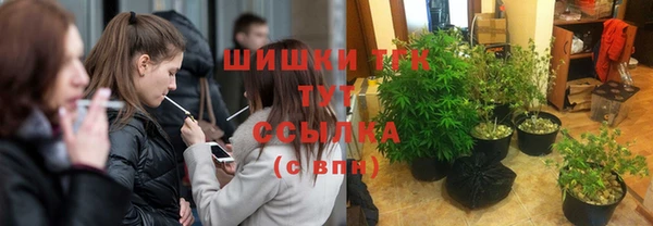 индика Нягань