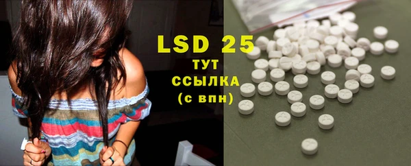индика Нягань