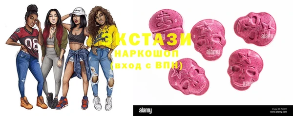 индика Нягань