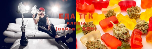 индика Новокубанск