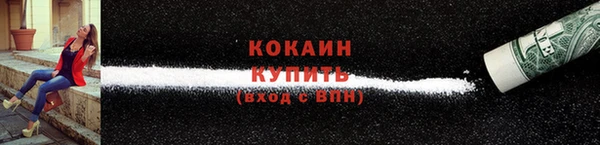 индика Нягань