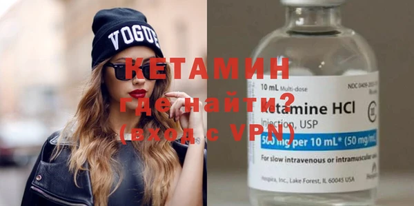 индика Нягань
