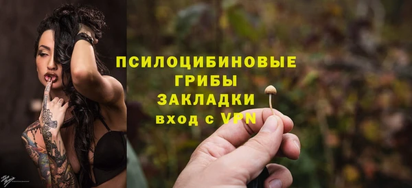 индика Нягань
