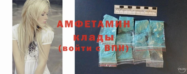 индика Нягань