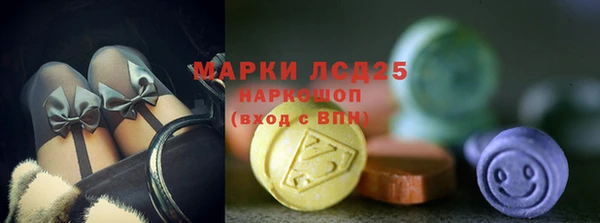 гашик Новозыбков