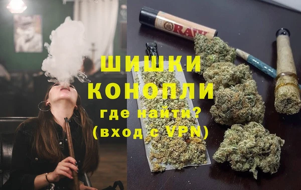 индика Новокубанск