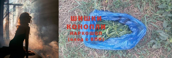 гашик Новозыбков