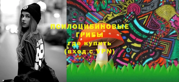 индика Новокубанск