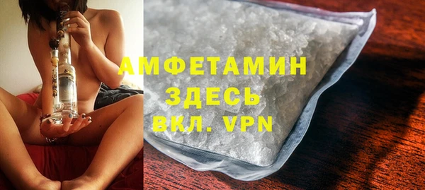 индика Нягань