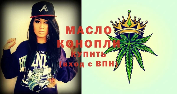 индика Нягань